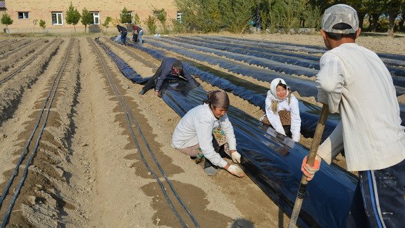 USAID лойиҳасига тегишли Бобожон Ғофуров тумани, Овчи Қалачадаги кўргазма майдони, ўтган йилнинг декабр ойи. (Муяссара Пулатова)