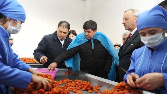 Премьер-министр Кыргызстана Мухаммедкалый Абылгазиев осматривает завод по переработке сухофруктов. Завод был создан при поддержке проекта «USAID Агро горизонт». Село Уч-Коргон, Баткенская область, декабрь 2018 г.  [USAID]