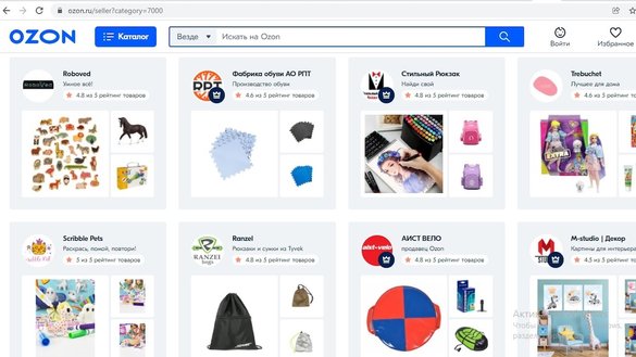 Снимки крупнейших российских интернет-магазинов, которые активно поставляют свои товары в Казахстан.